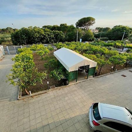 Appartamento Roccaforte Bi Rosso Τράπανι Εξωτερικό φωτογραφία
